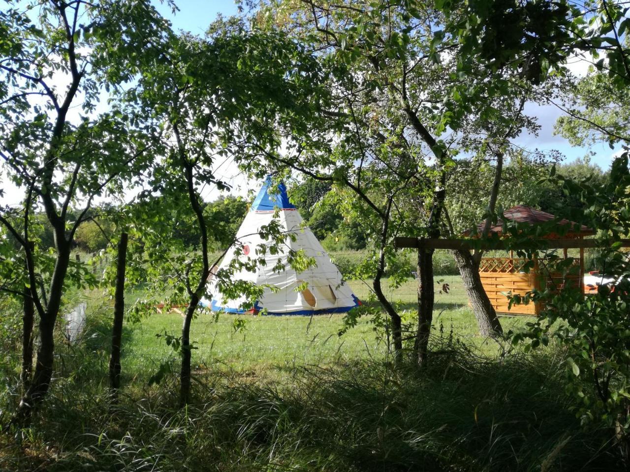 Hotel Glamping Podgrodzie Nowe Warpno Exterior foto